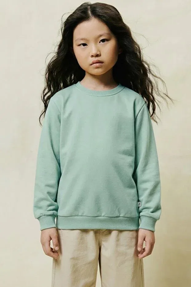 Детский комплект свитшотов с круглым вырезом 2-Piece Basic Crew Neck Sweatshirt Set Perendi, Mint Green-Green — фото 3