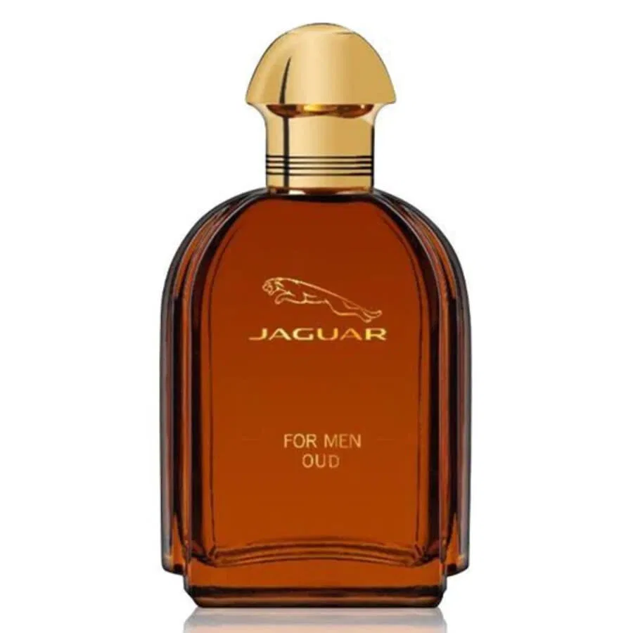 Парфюмерная вода Jaguar For Men Oud, 100 мл