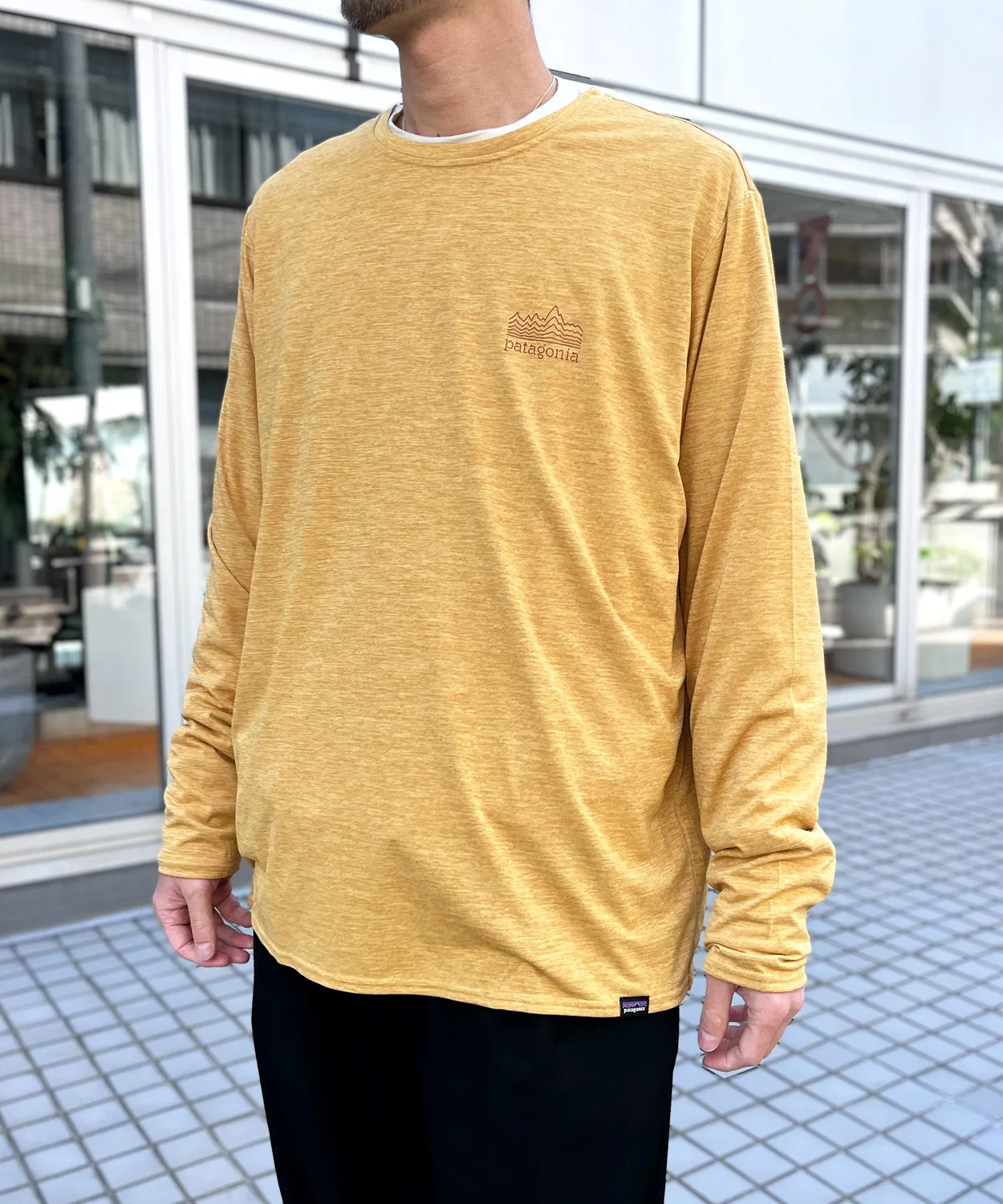 Мужская футболка с длинным рукавомс графическим принтом Cap Cool Daily Graphic Shirt patagonia, Camel — фото 4