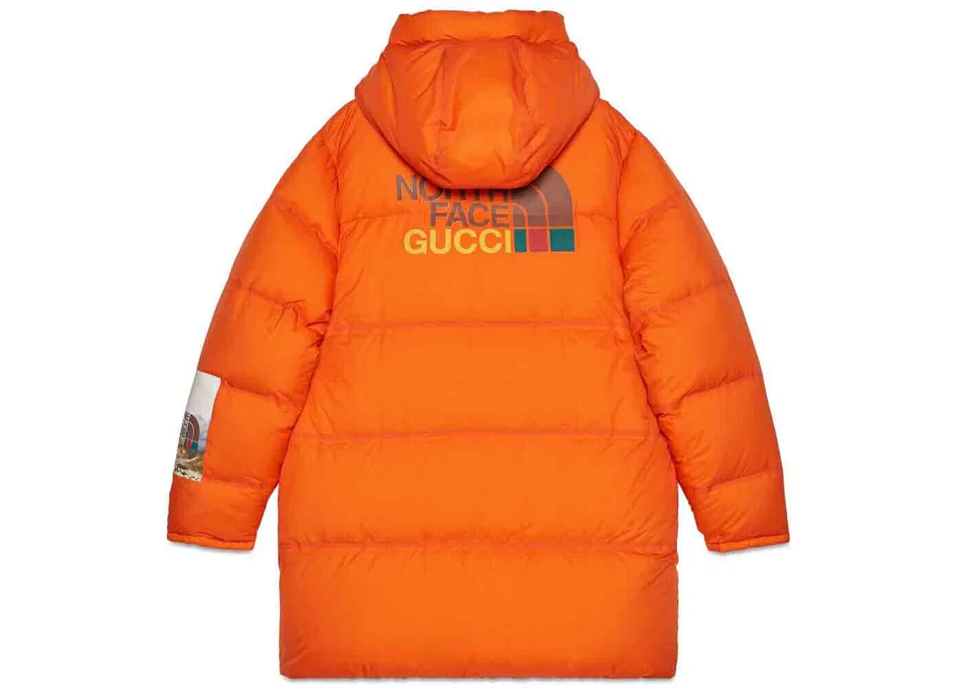 Мужская пуховая куртка Gucci x The North Face Down Jacket, Orange — фото 2