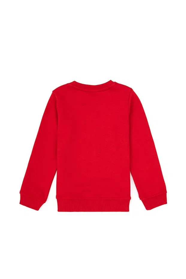 Детские свитшот для мальчиков с круглым вырезом U.S. Polo Assn., Red — фото 4