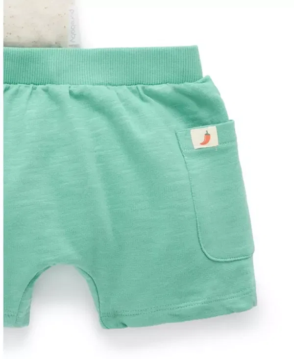 Детский комплект для мальчиков с аппликацией Purebaby, Iguana — фото 4
