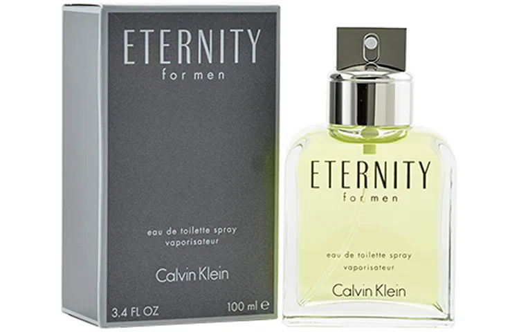 Мужская туалетная вода Calvin Klein Timeless, 100 мл, Calvin Klein, Black