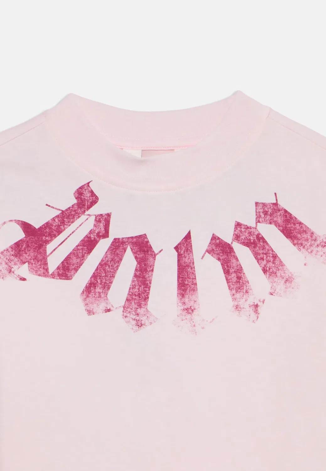 Футболка унисекс с принтом Palm Angels, Rosa/Pink — фото 3