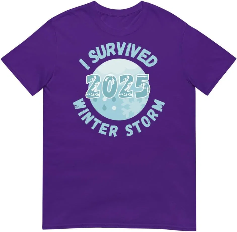 Мужская футболка с коротким рукавом I Survived Winter Snow Storm 2025, фиолетовый