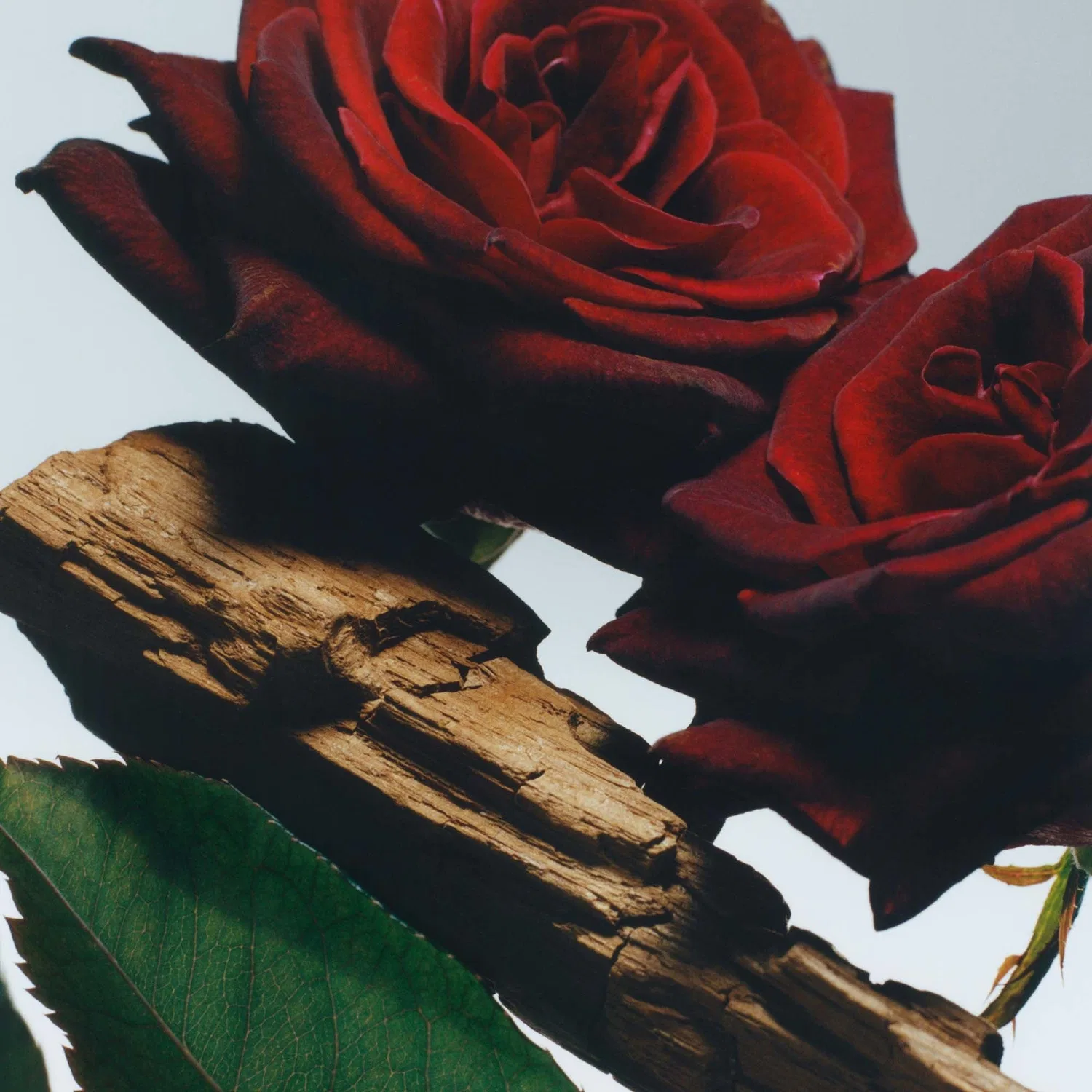 Парфюмерная вода для тела Velvet Rose & Oud Jo Malone London — фото 2