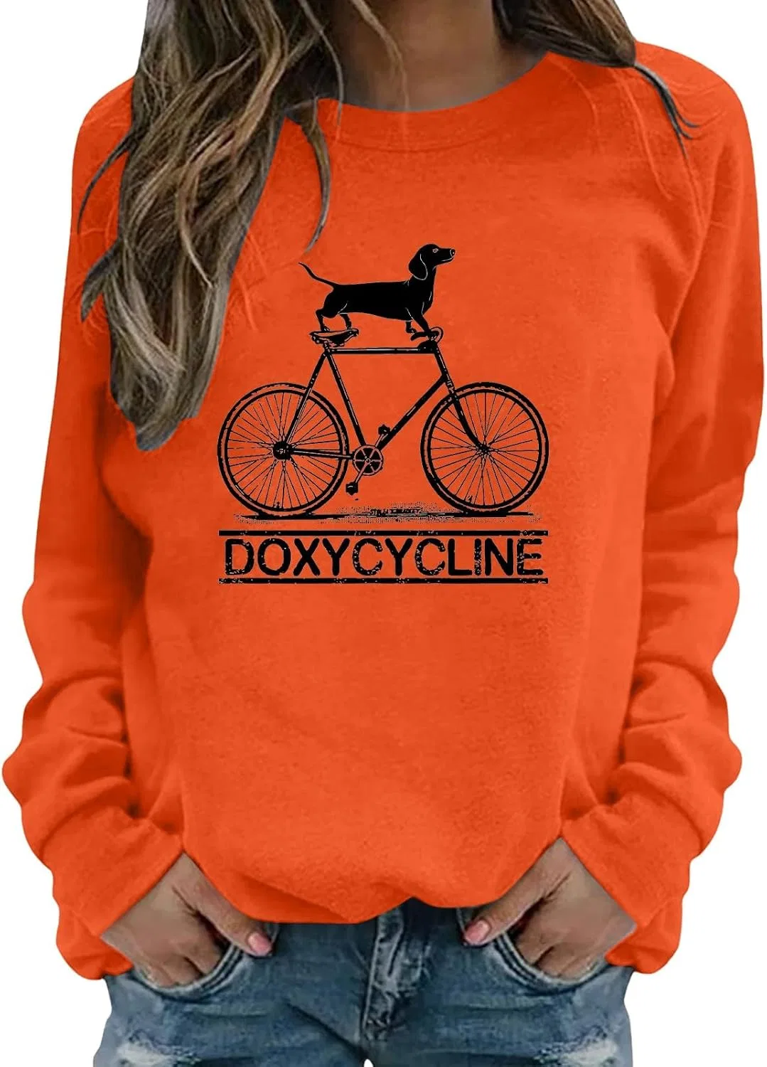 Женский свитшот с принтом таксы, Oversize, Doxycycline Dachshund, оранжевый