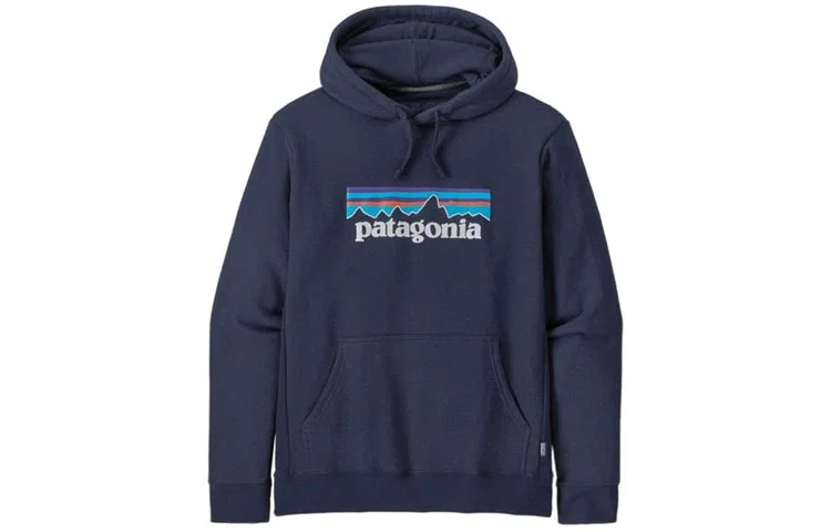 Унисекс свитшот с капюшоном и флисовой подкладкой Uprisal P 6 Logo Print Patagonia, Goose Cream Red/AMRE — фото 3