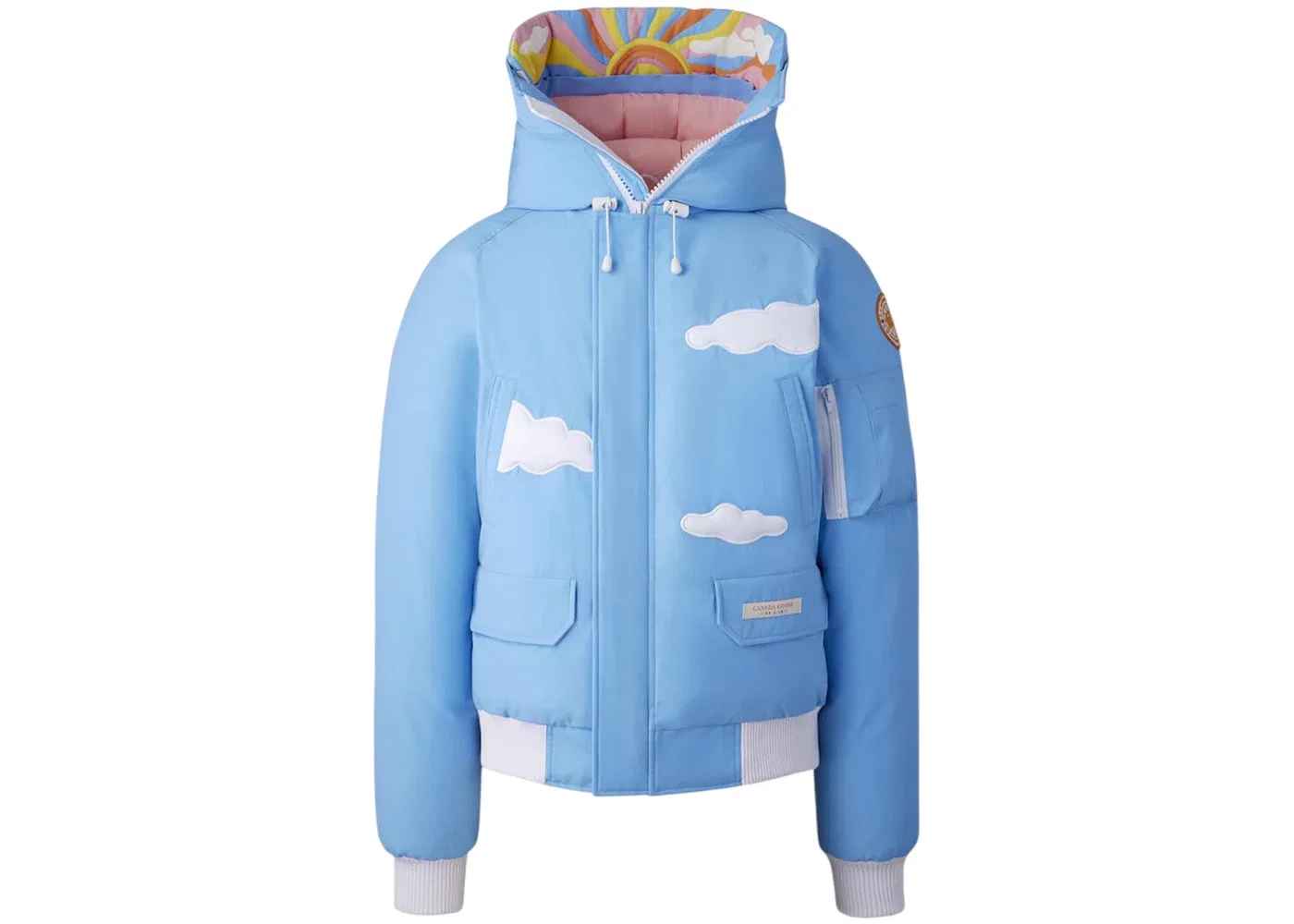 Унисекс куртка-бомбер с принтом Chiliwack Canada Goose, Blue