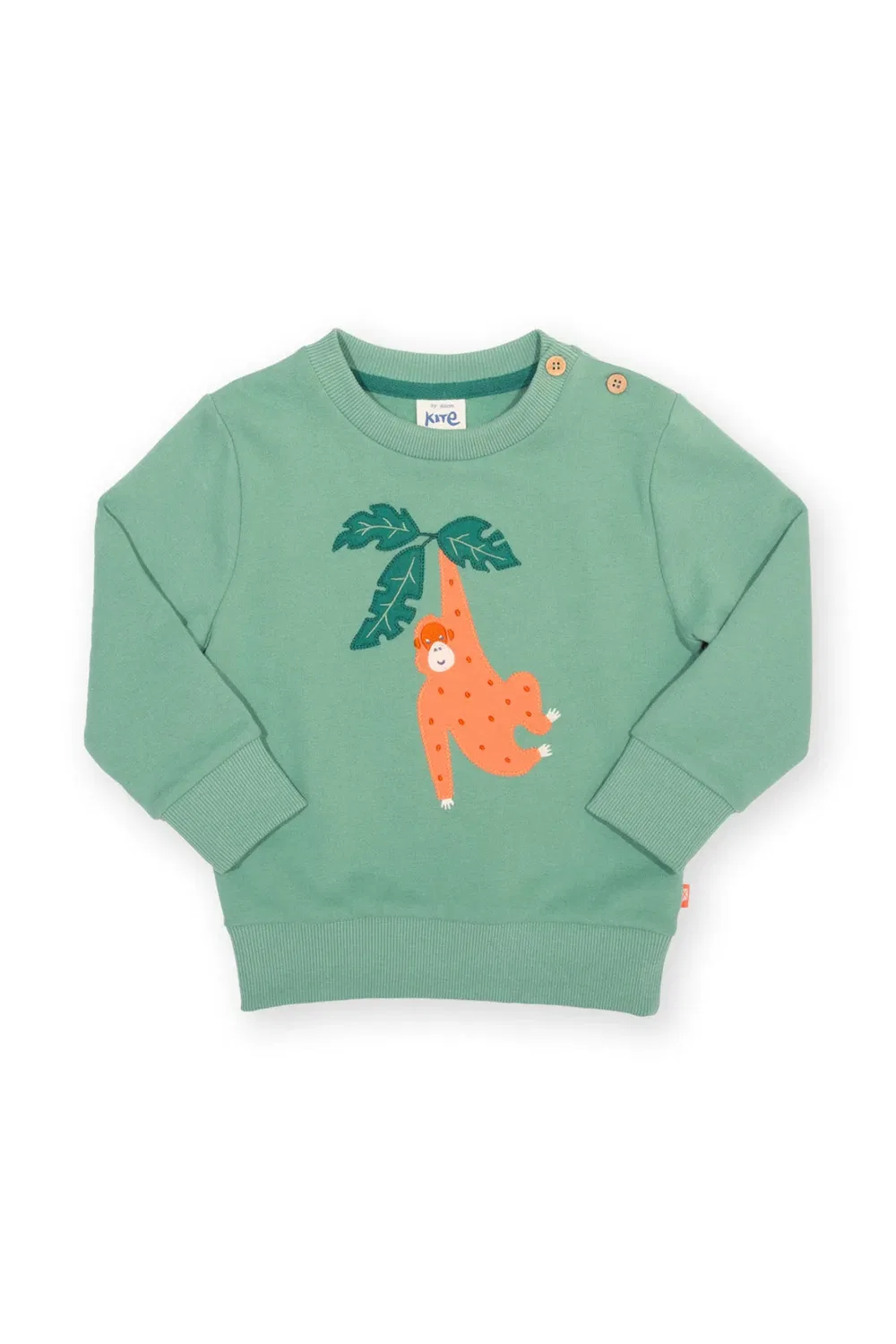 Детский свитшот Orangutan Kite, Green