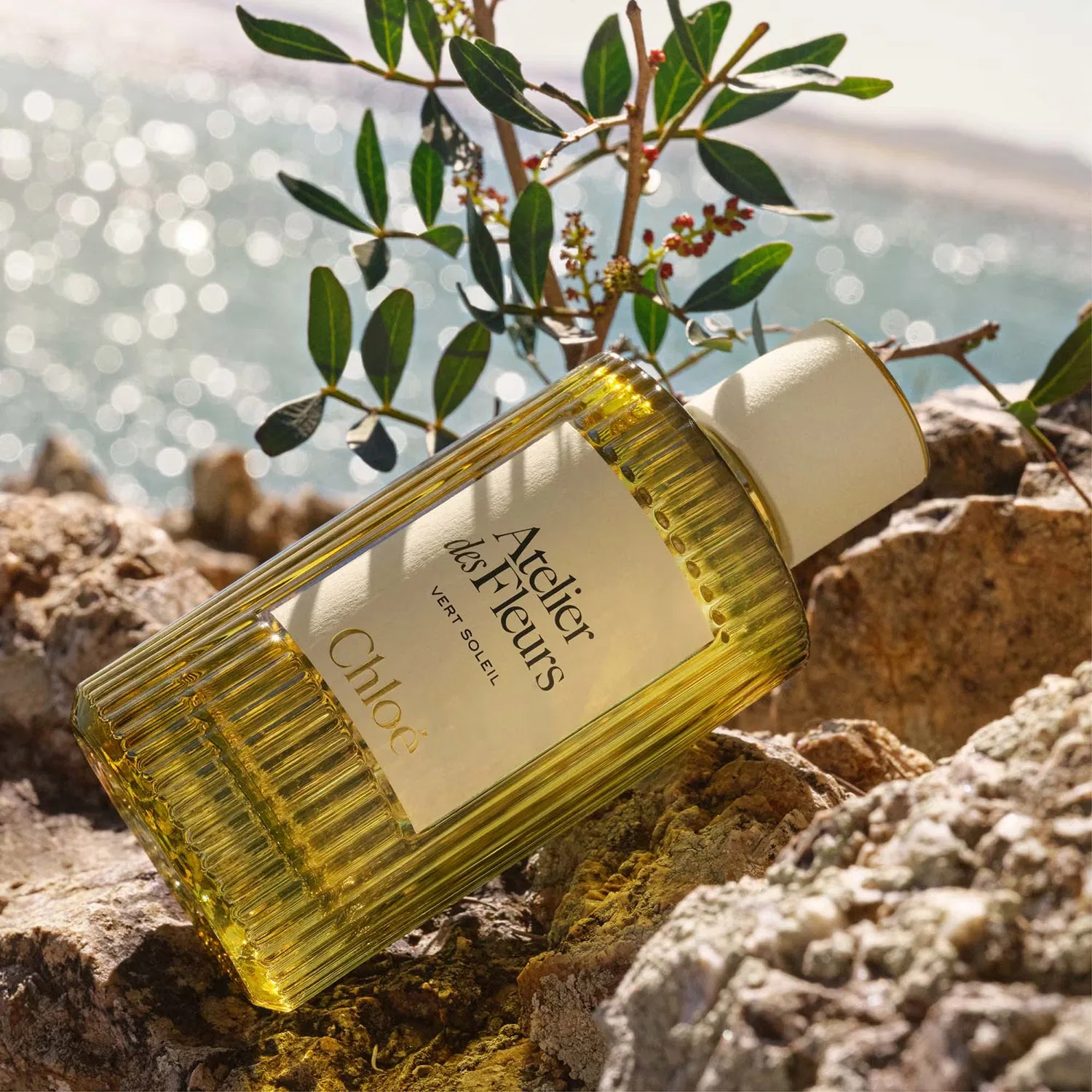 Парфюмерная вода Atelier des Fleurs Vert Soleil 150 мл с мастиковым деревом CHLOÉ — фото 4