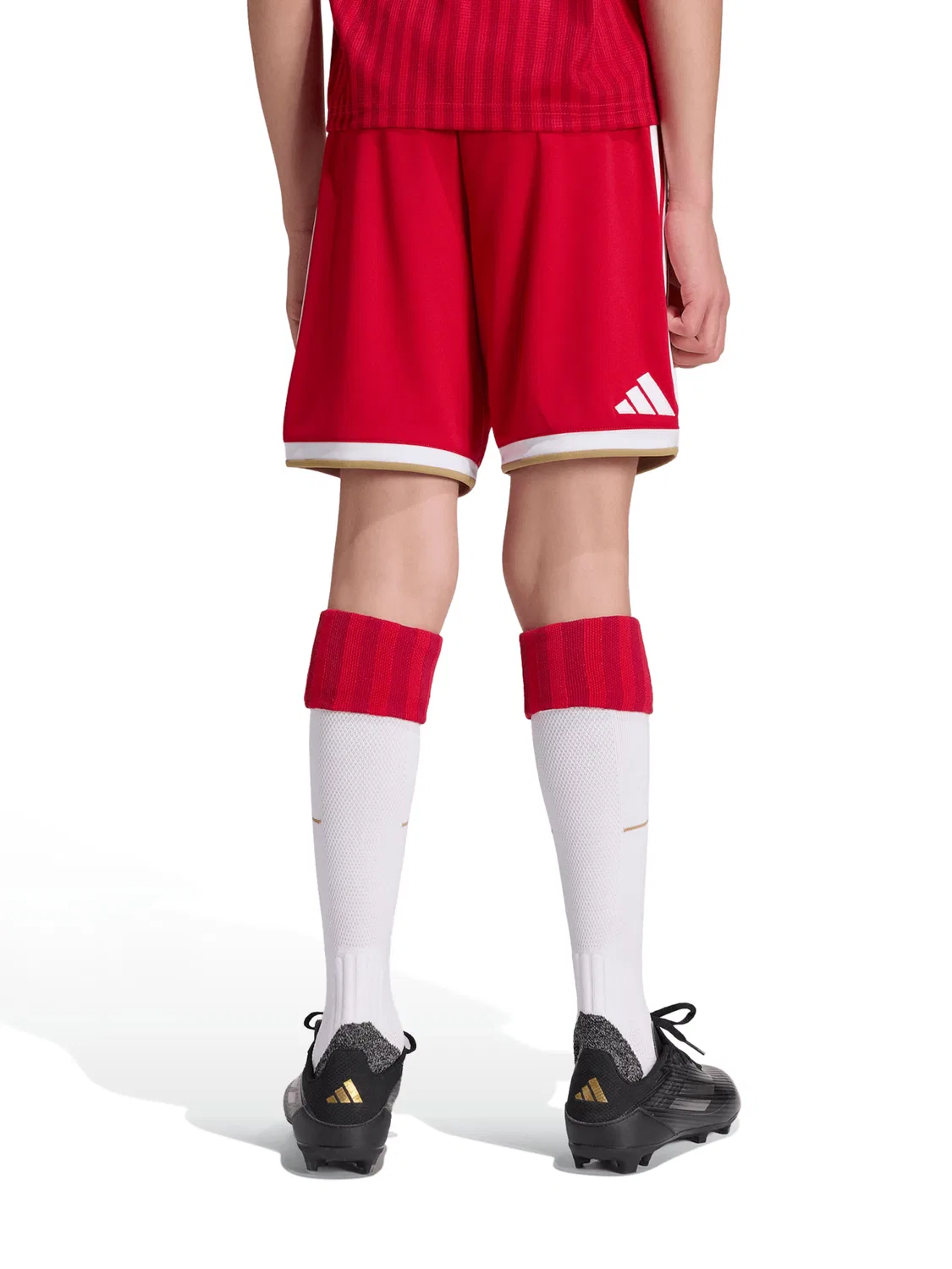 Спортивные шорты Adidas Performance Regular Workout Pants FC Bayern München Home 26/27 красного цвета — фото 3