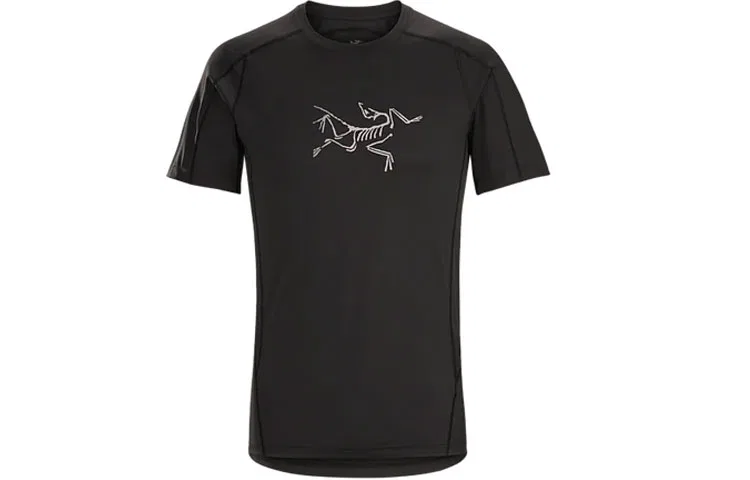 Мужская футболка из мериносовой шерсти Ionia Arcteryx, Labyrinth Green — фото 3