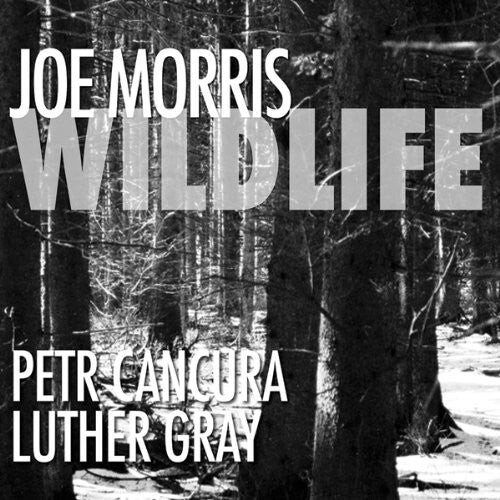 

CD диск Morris, Joe: Wildlife
