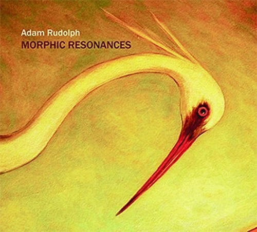 

CD диск Rudolph, Adam: Morphic Resonances