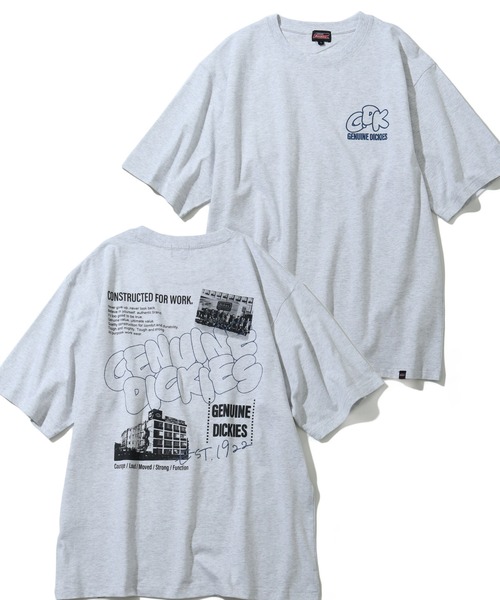 

Футболка с коротким рукавом, свободного кроя, с вышивкой и принтом Dickies, серый