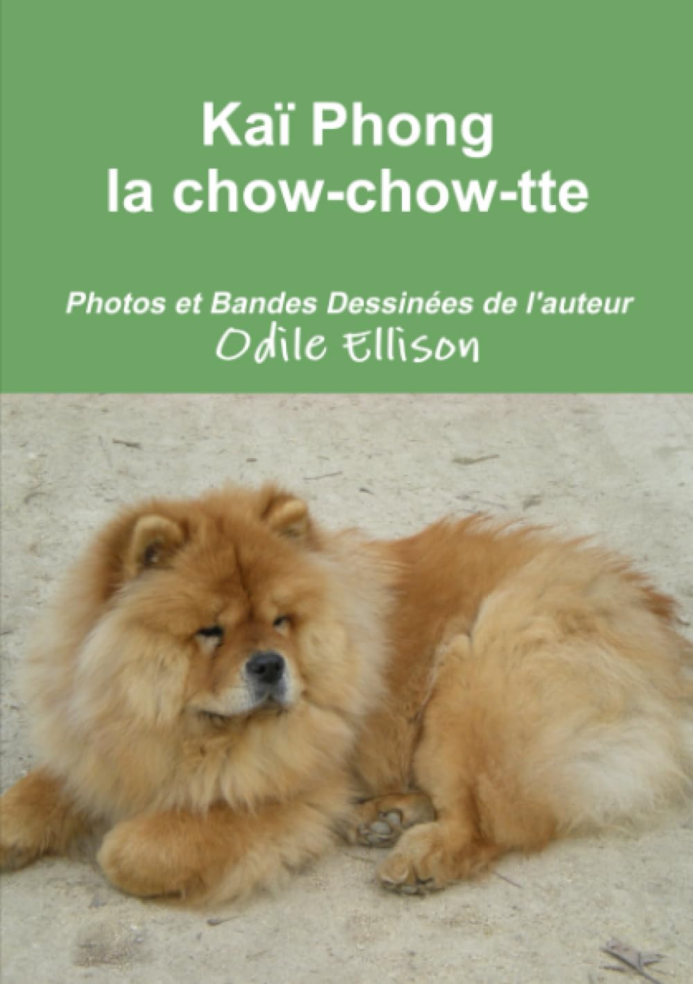 

Kaï Phong la chow-chow-tte (French Edition) (Lulu Press, Inc.)