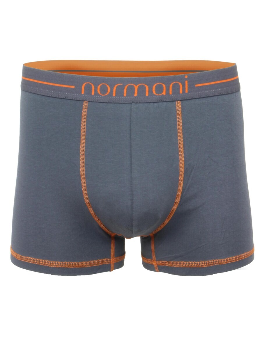 

Боксеры Normani, серый