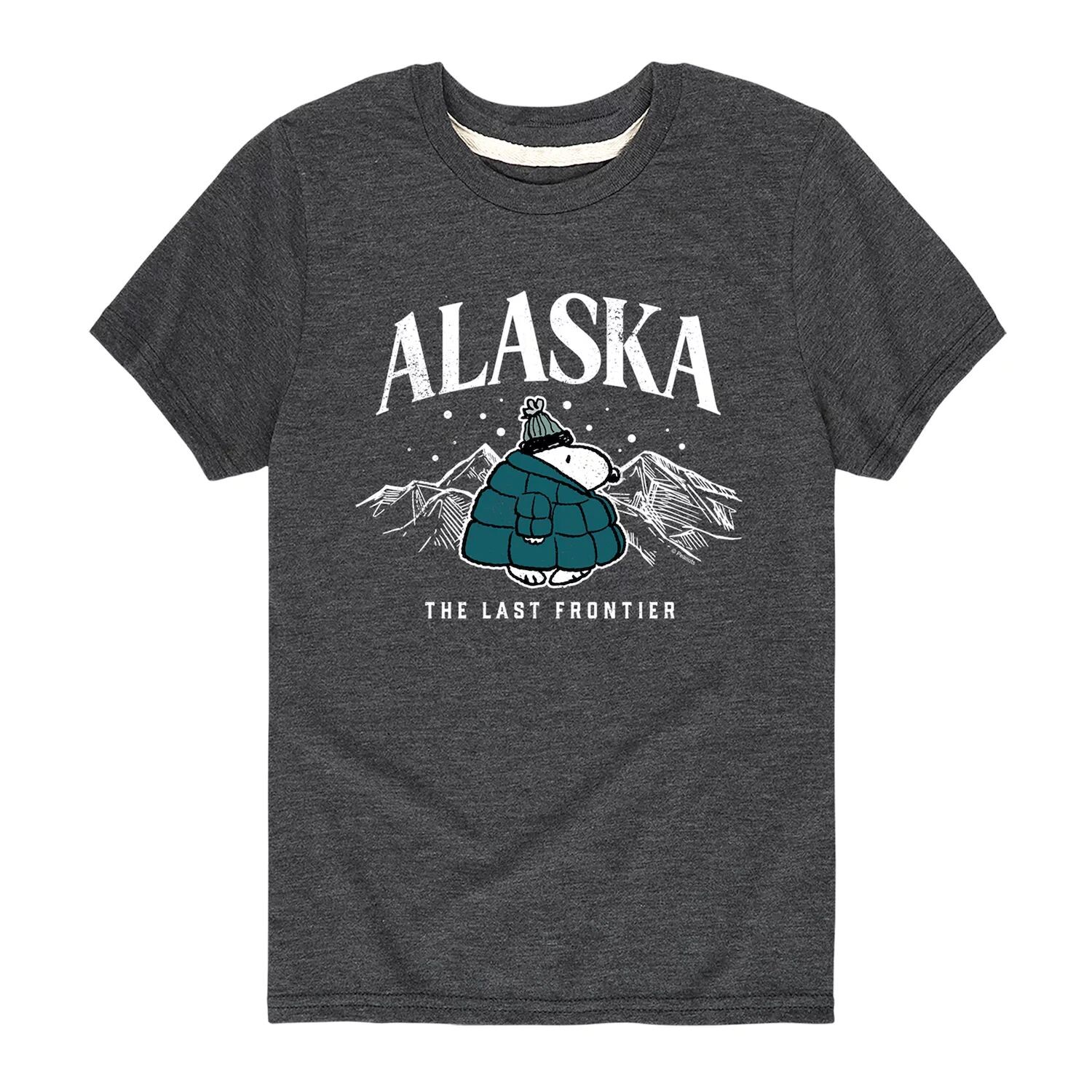 

Футболка Peanuts Alaska Last Frontier для мальчиков 8–20 лет Licensed Character, серый