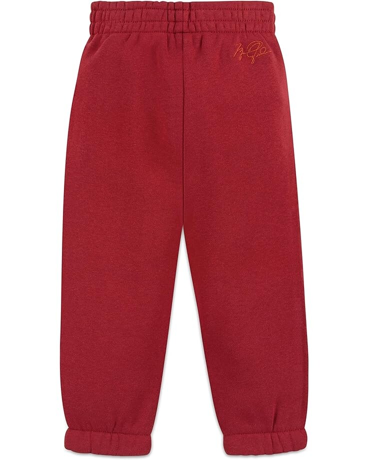 

Брюки Jordan Essentials Pants, цвет Gym Red