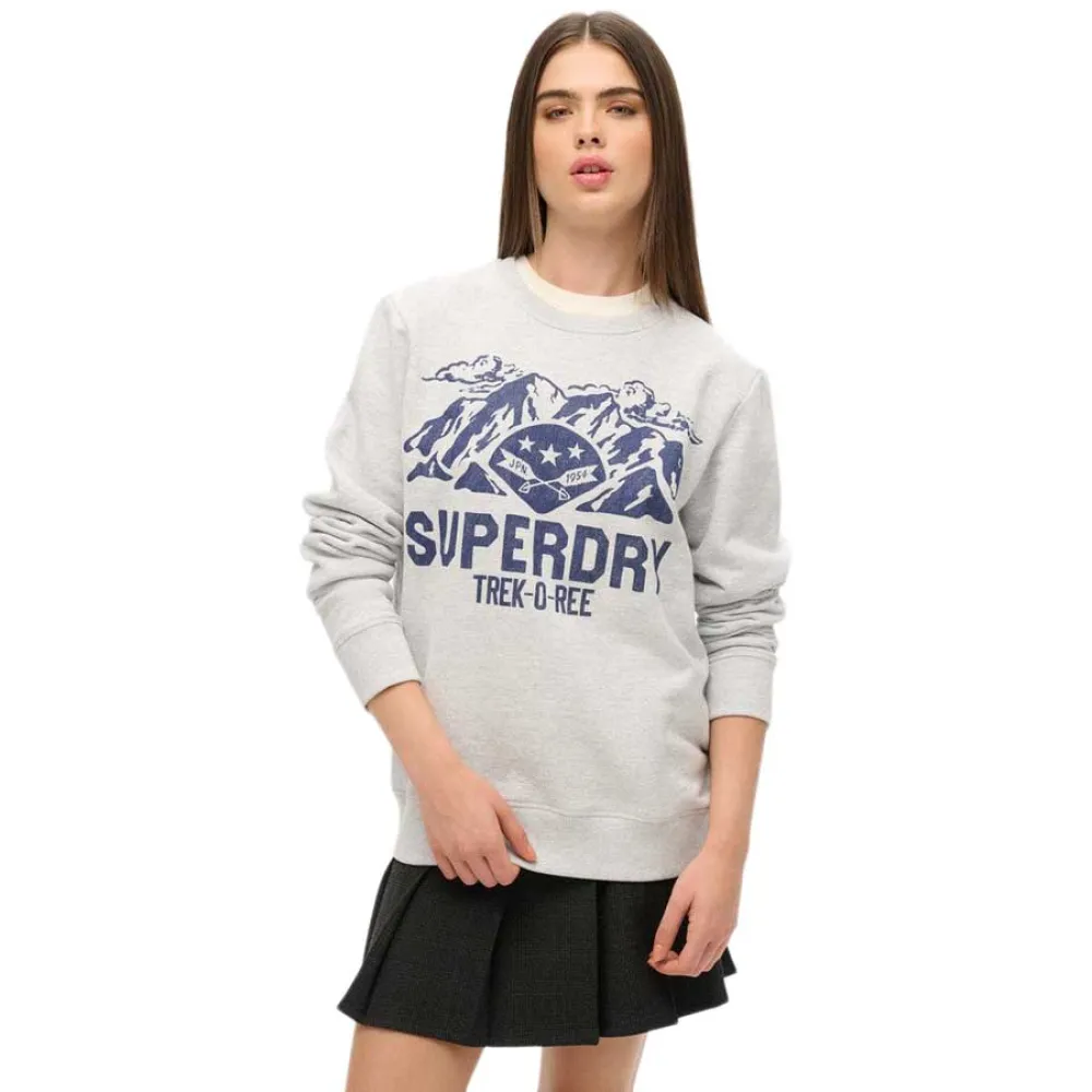 

Толстовка Superdry Lo-Fi Outdoors Graphic, серый