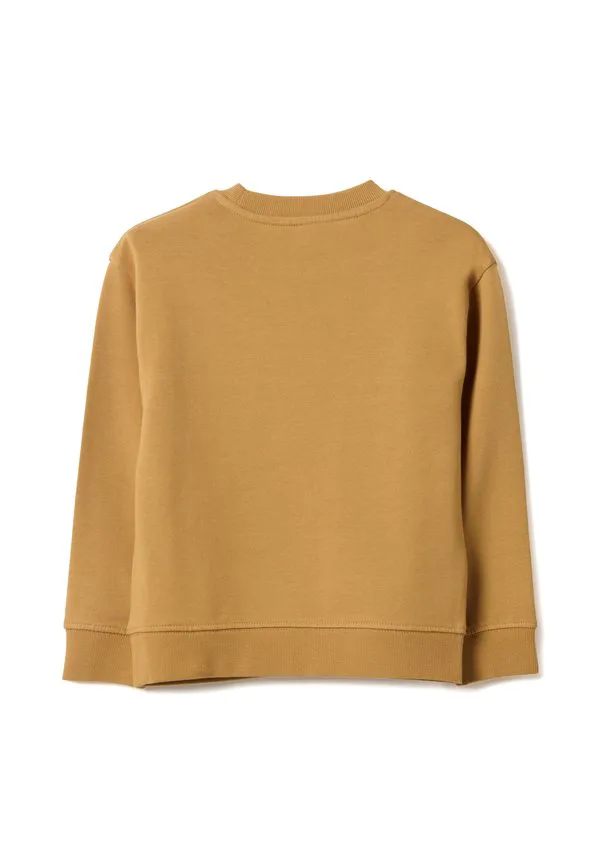 Толстовка оверсайз с круглым вырезом Ovs, Light Tobacco Brown — фото 2