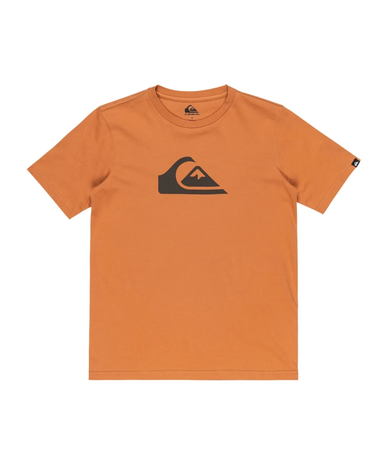 Детская футболка Quiksilver EV COMP LOGO с логотипом, хлопок, белая — фото 2