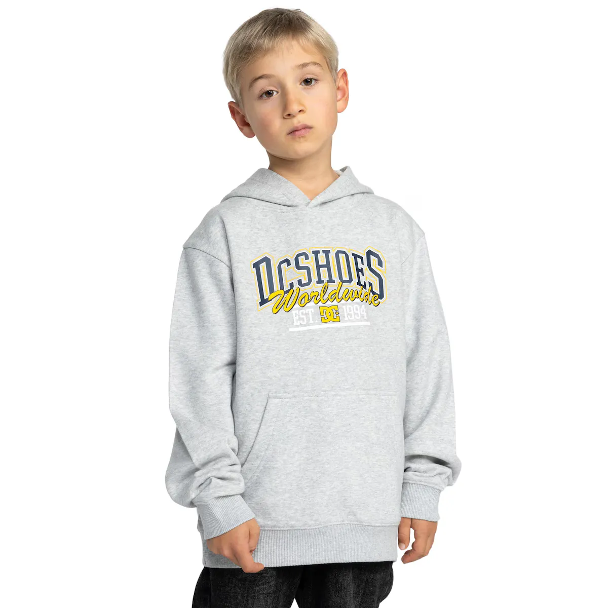 

Детская толстовка DC Shoes Tailgate Ph, светло-серый