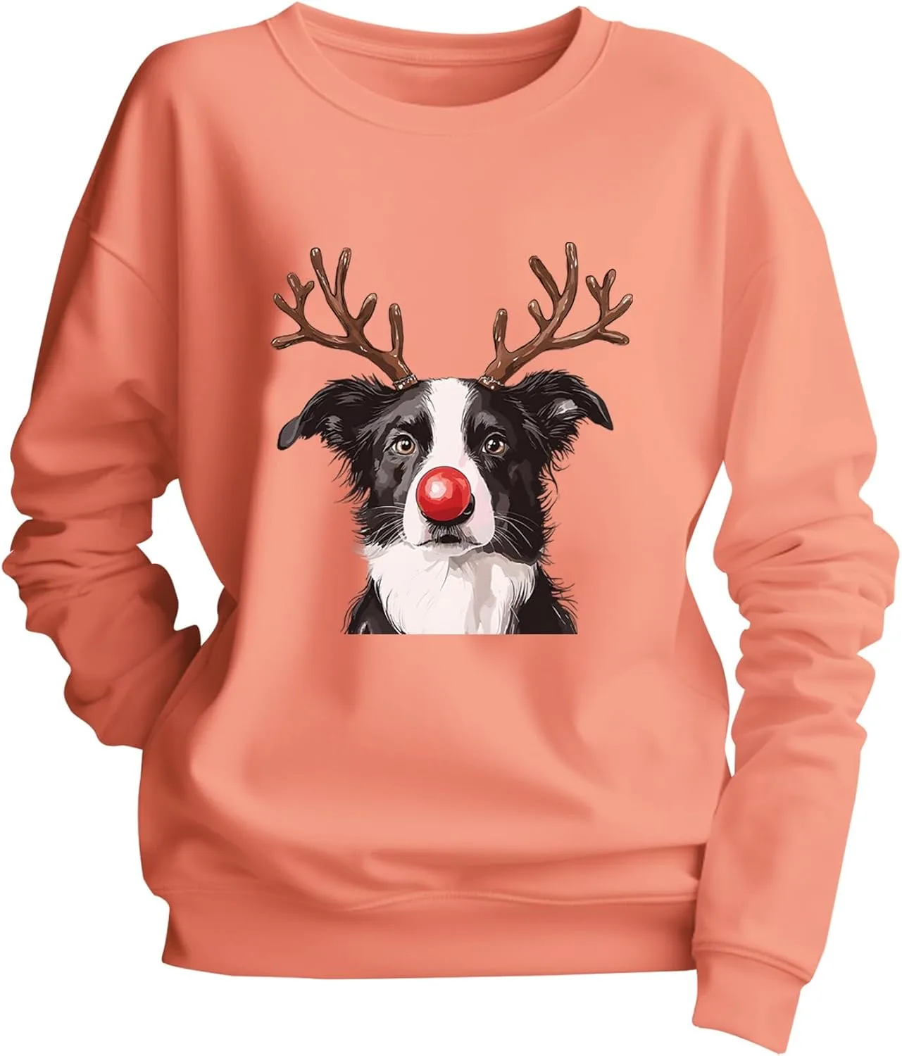 

Свитшот Border Collie с рождественским принтом, с длинными рукавами, для взрослых Yuisi Doxn