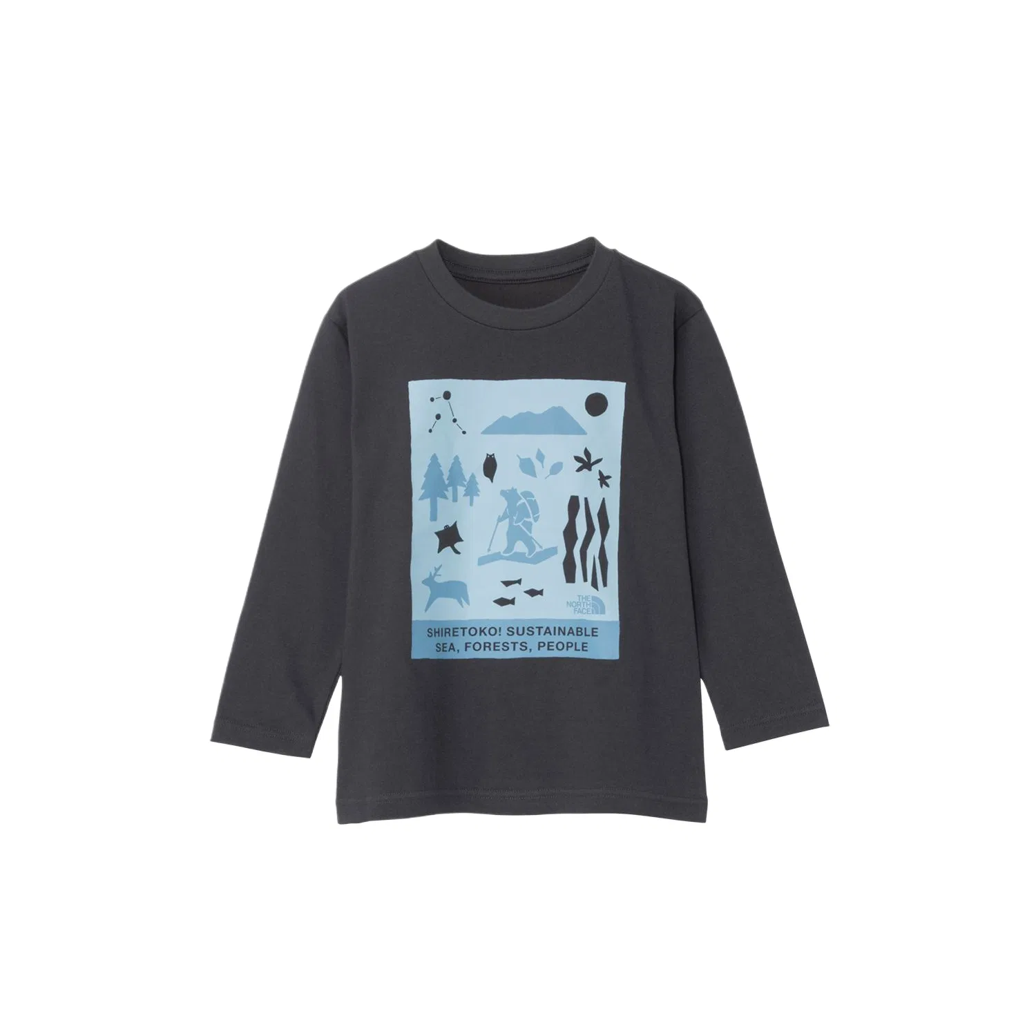 Детская футболка с круглым вырезом THE NORTH FACE, Asphalt Gray
