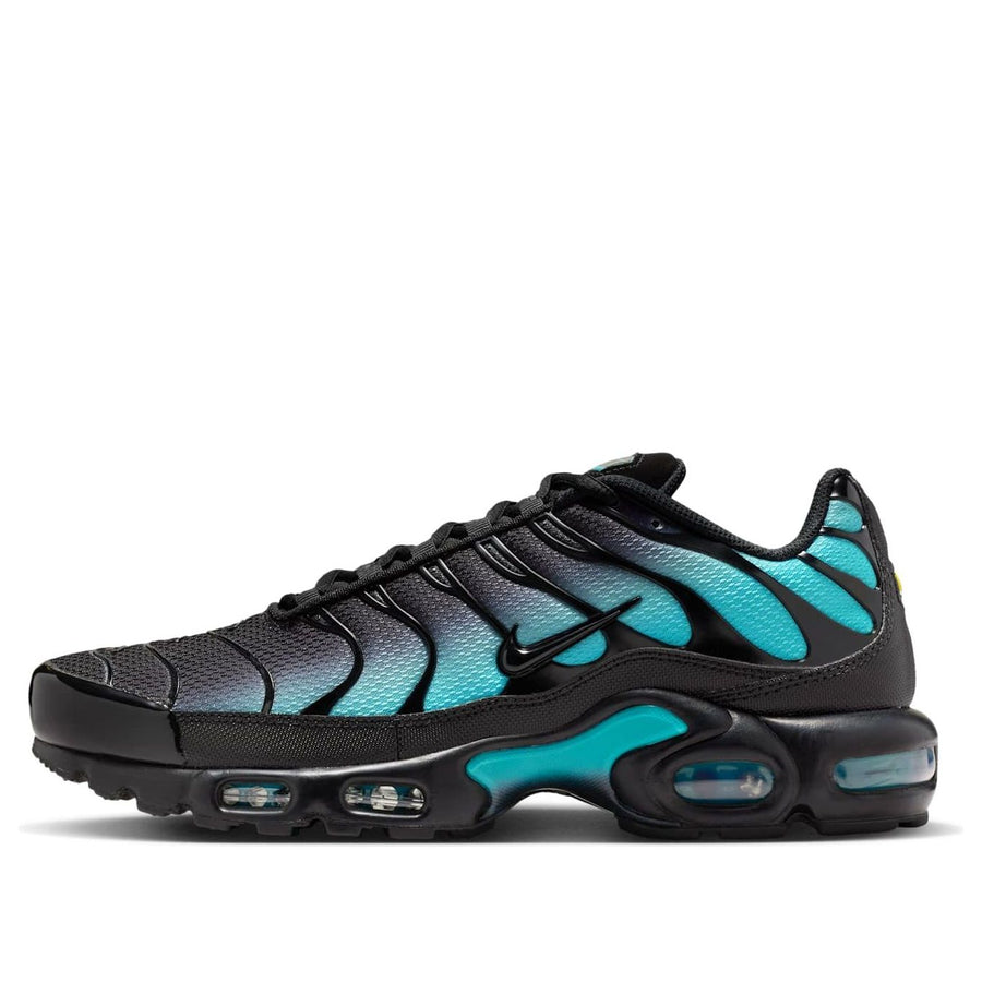 

Кроссовки Nike Air Max Plus 'Black Dusty Cactus', черный