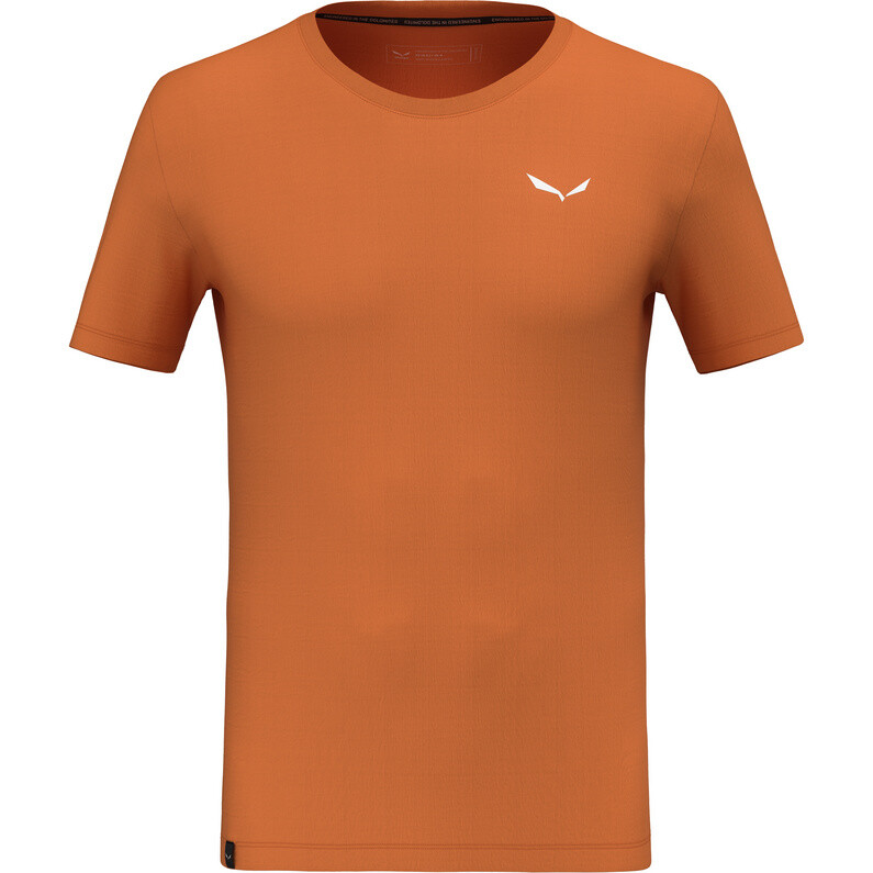 

Мужская сухая футболка Eagle Sheep Camp Salewa, цвет Burnt Orange