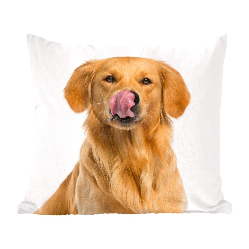 

MuchoWow Золотистый ретривер - Лижущий золотистый ретривер на белом фоне - 50х50 см - Наволочки - Декорации - спальня