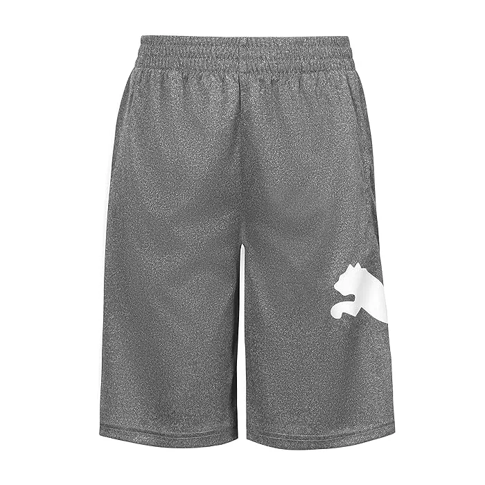 Шорты спортивные Core Essential PUMA Kids, Charcoal Heather/Grey