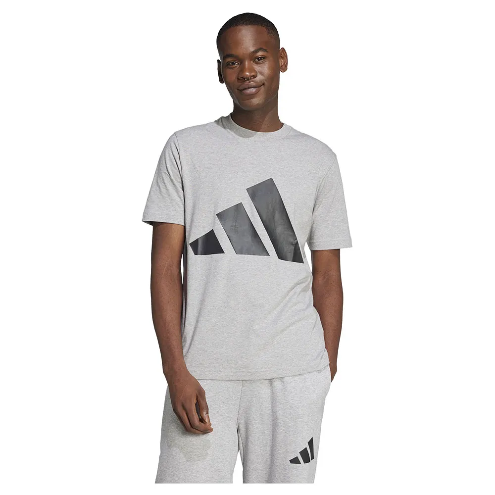 

Футболка с коротким рукавом adidas Essentials Big Logo, серый