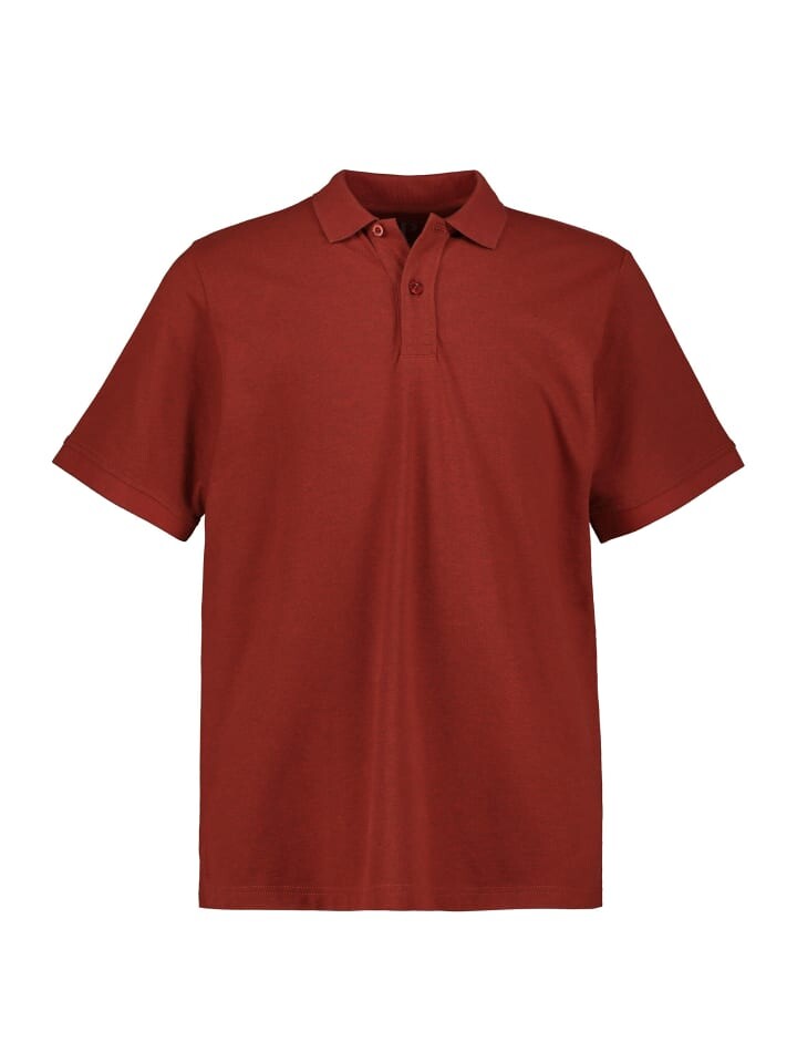 

Футболка поло JP1880, цвет bernstein, Коричневый, Футболка поло JP1880, цвет bernstein