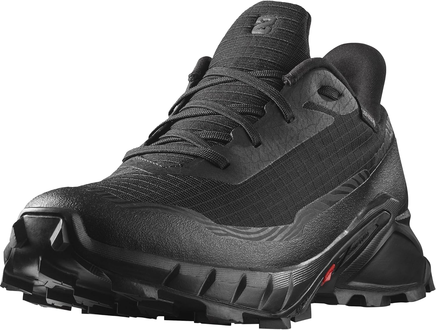 

Кроссовки Salomon mens Alphacross 5 Gore-tex for Men, Black/Black/Ebony