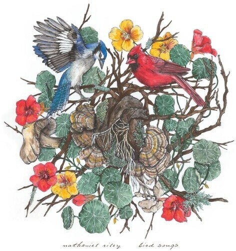 

Виниловая пластинка Riley, Nathaniel - Bird Songs