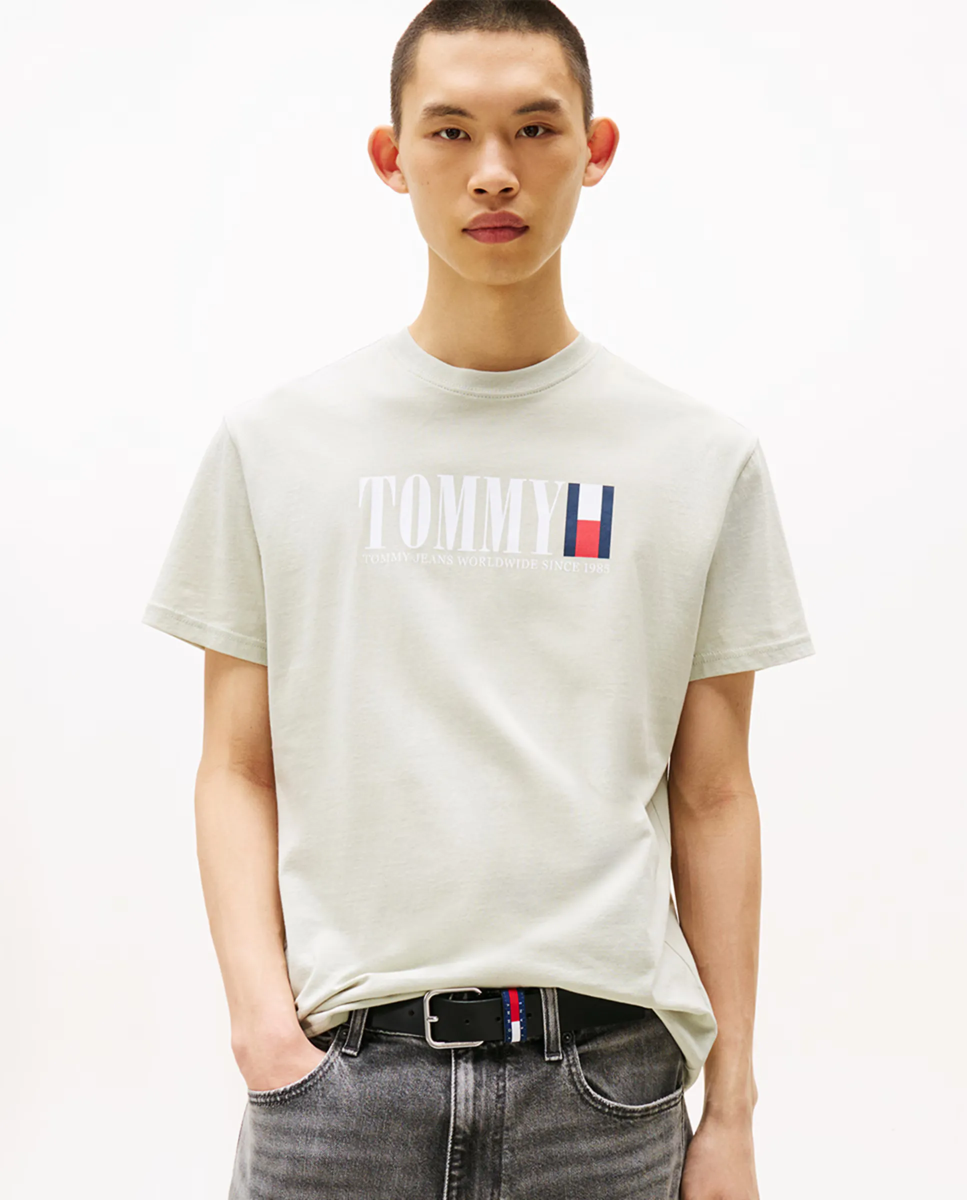 

Футболка мужская классического кроя с коротким рукавом Tommy Jeans, светло-зеленый