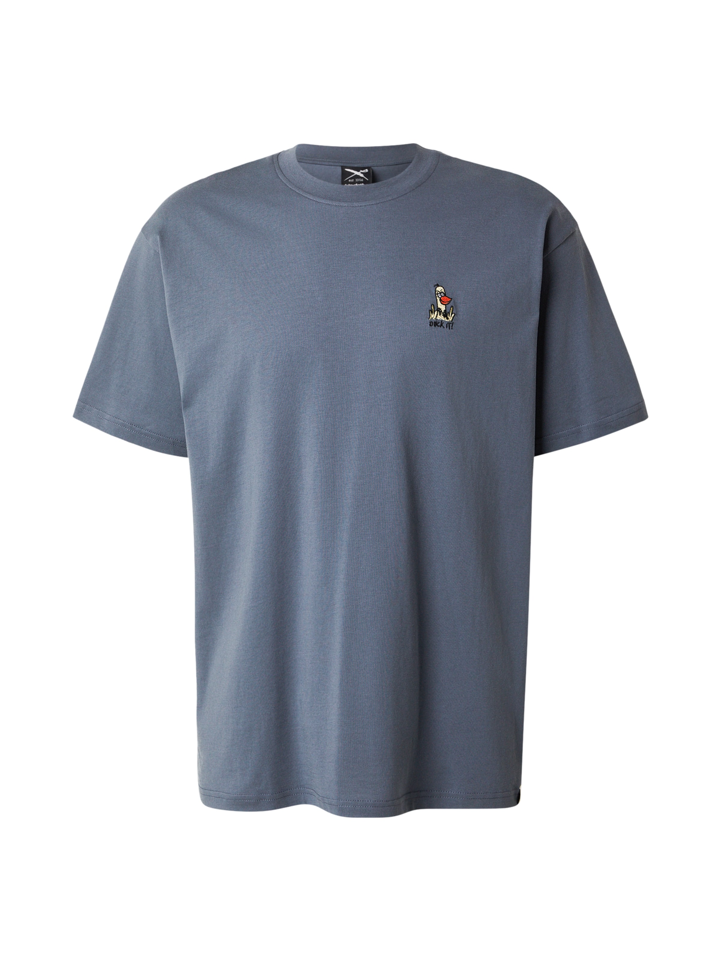 

Iriedaily Футболка 'What The Duck' в цвете Basalt Grey