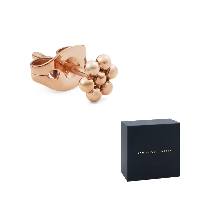 

Dw/Danielwellington Серьги-гвоздики Daniel Wellington из сплава, женские