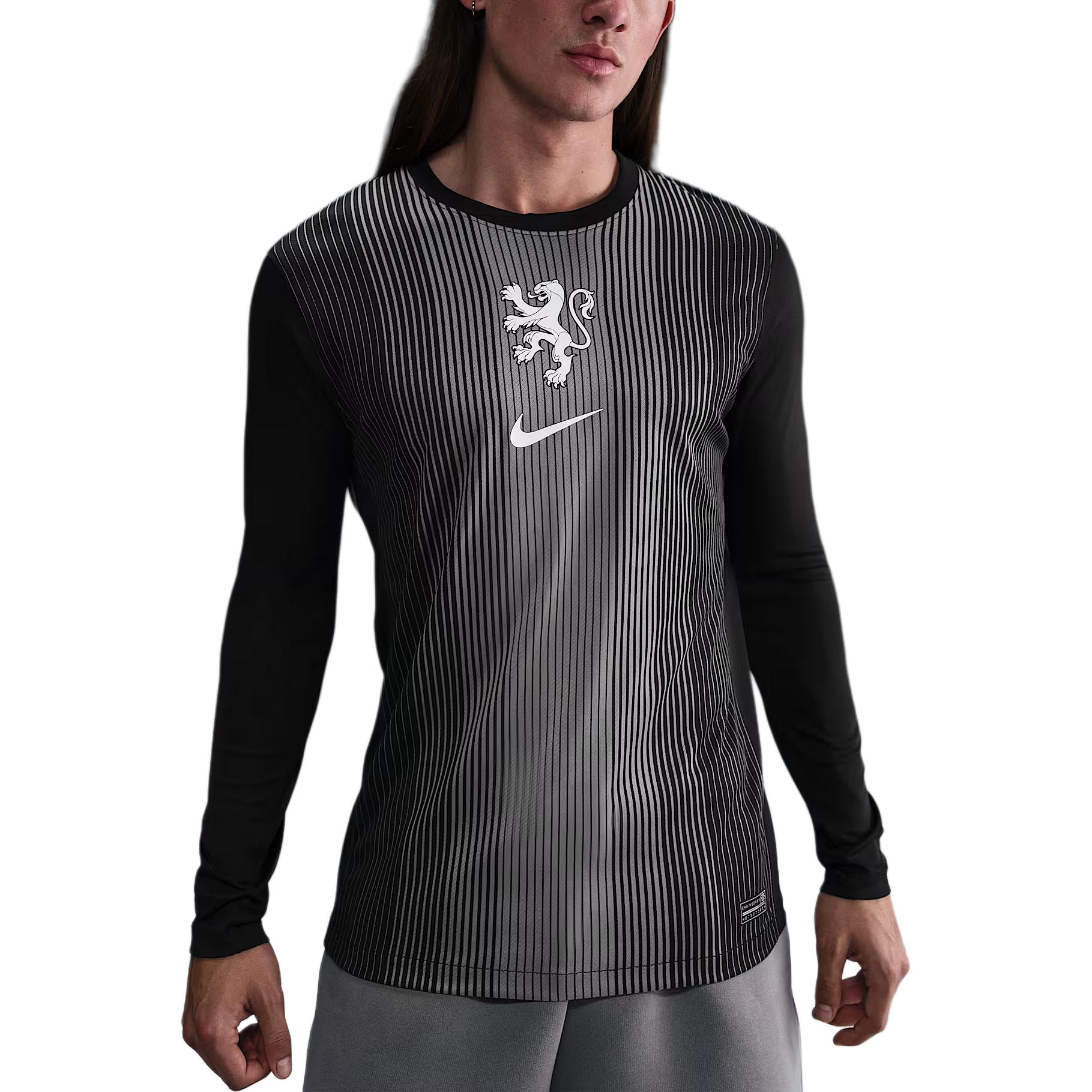 

Футболка вратарская dri fit netherlands 2025/26 stadium мужская Nike, черный/серый/белый