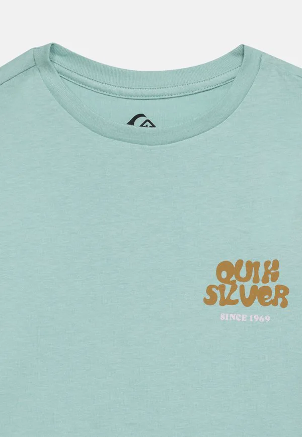 Футболка унисекс с принтом fruits tide Quiksilver, Blue Haze — фото 4