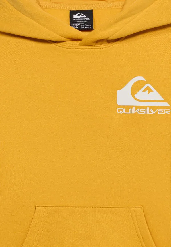 Худи унисекс с логотипом omni для подростков Quiksilver, Mineral Yellow — фото 4