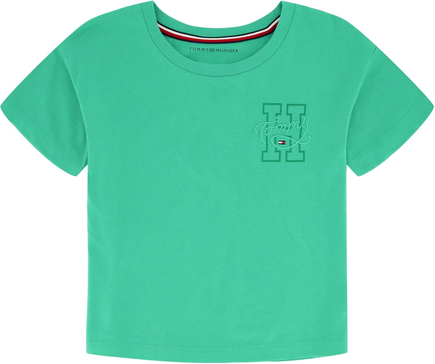 

Футболка Tommy Hilfiger Girl с флагом Tommy 1985 (для детей старшего возраста), Winter Green Logo, Зеленый, Футболка Tommy Hilfiger Girl с флагом Tommy 1985 (для детей старшего возраста), Winter Green Logo