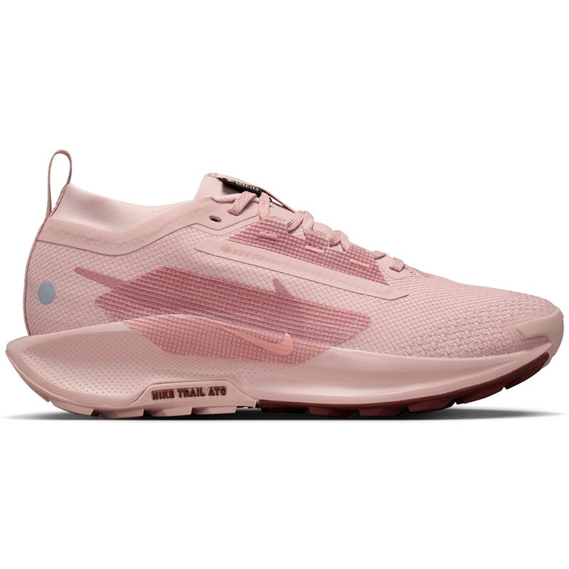 Кроссовки для трейлраннинга Pegasus Trail 5 Gore-Tex Nike, мультиколор