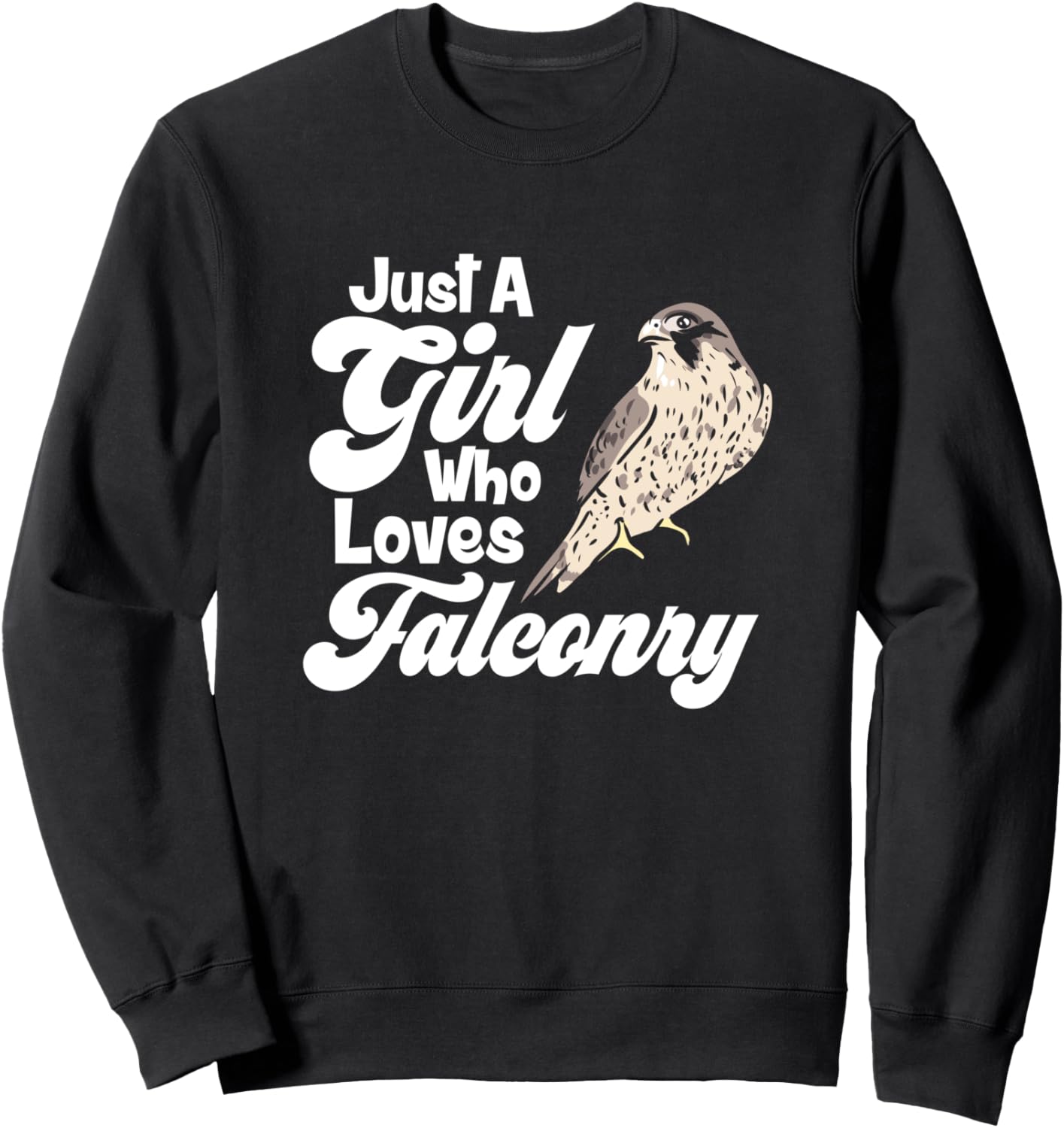 

Толстовка с цитатой Любитель соколов, сокольничий Ornithology Falconry Falcon Bird Watcher Design, черный