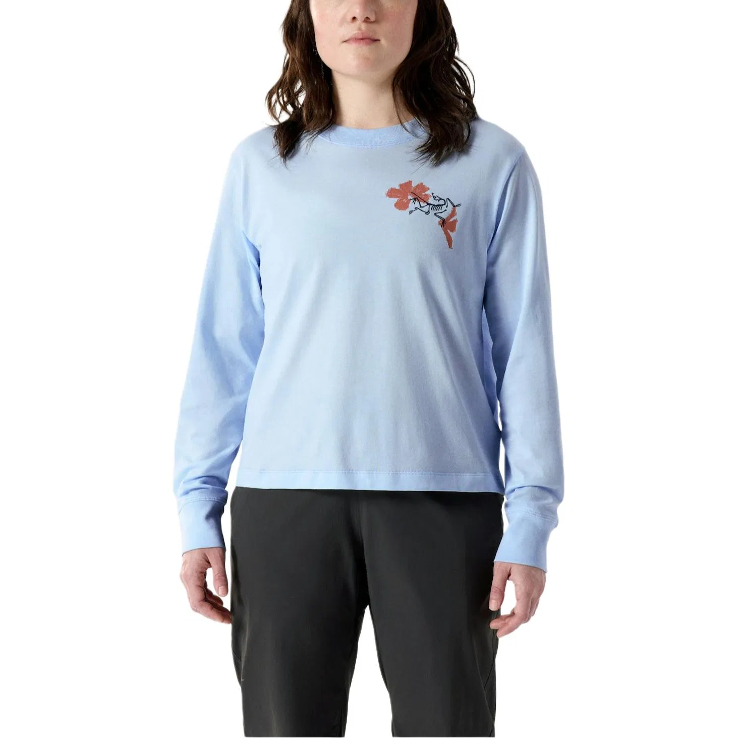 Футболка свободного кроя Kragg Arcteryx Alpine Blue