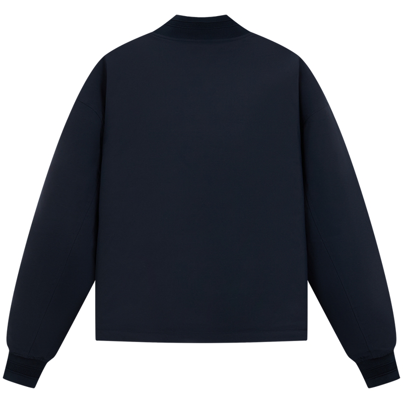 Мужская пуховая куртка на Новый год Tommy Hilfiger, темно-синий /красный xmp — фото 3