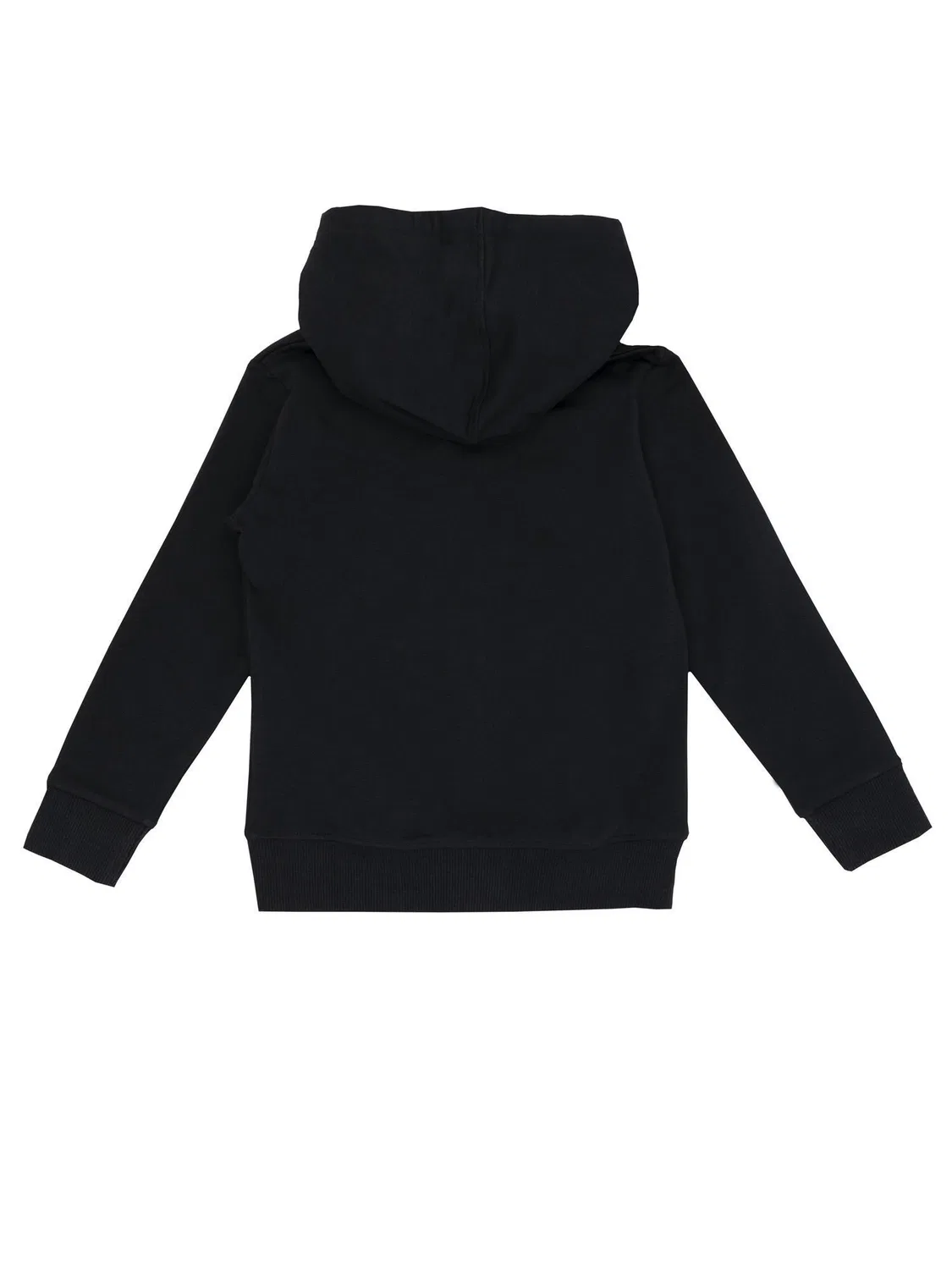 Детское худи с принтом Schwarze Lowen-Hoodies fur Madchen Leone 1947 Apparel, Schwarz — фото 2